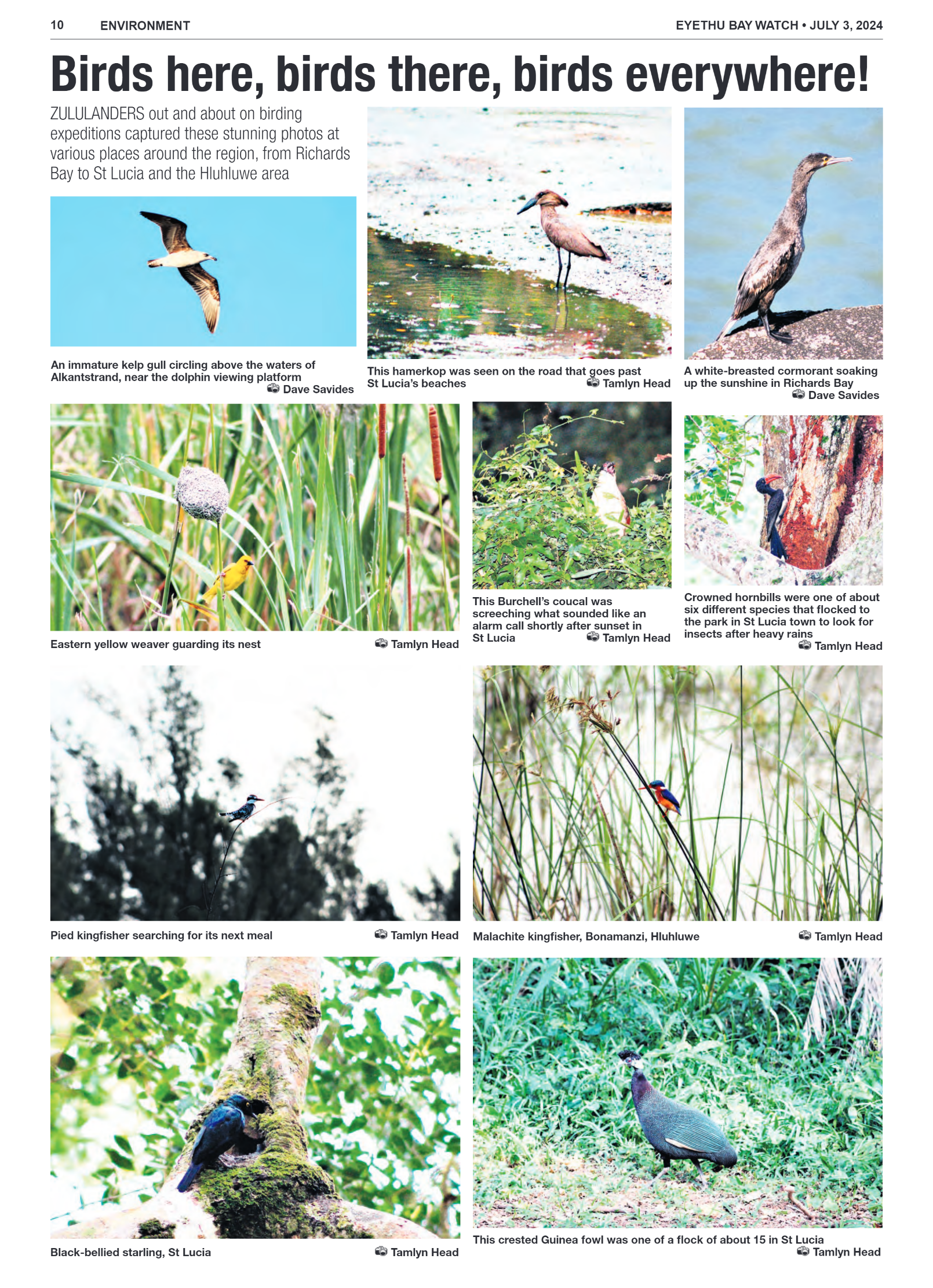 Eyethu BayWatch page 10