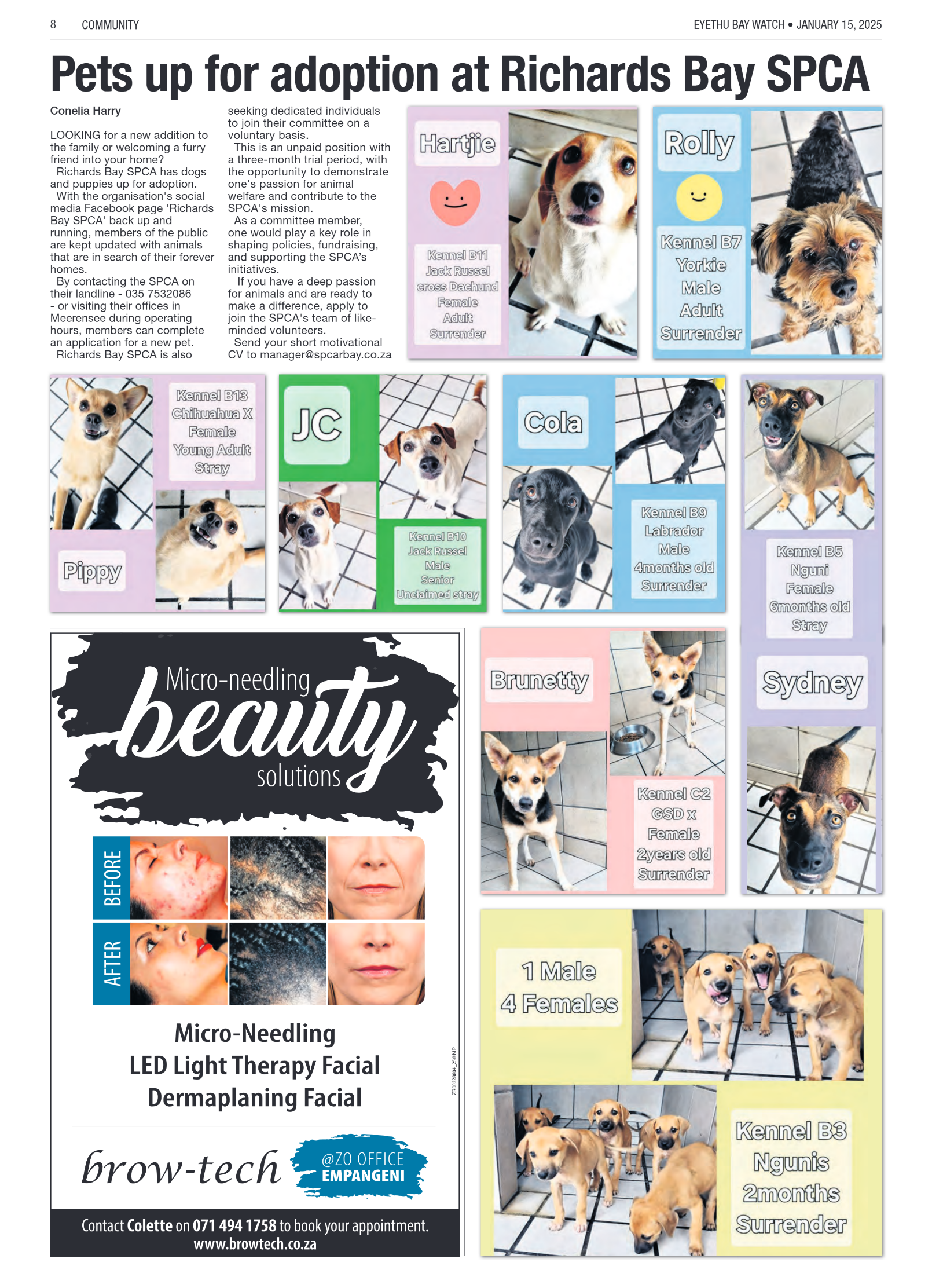 Eyethu BayWatch page 8