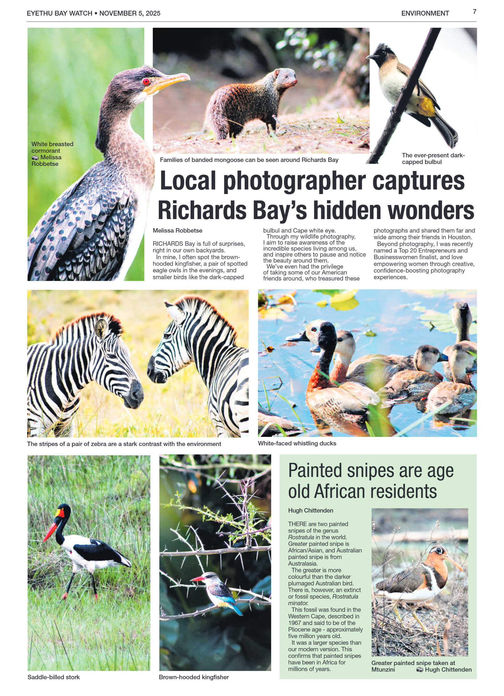 Eyethu BayWatch page 7