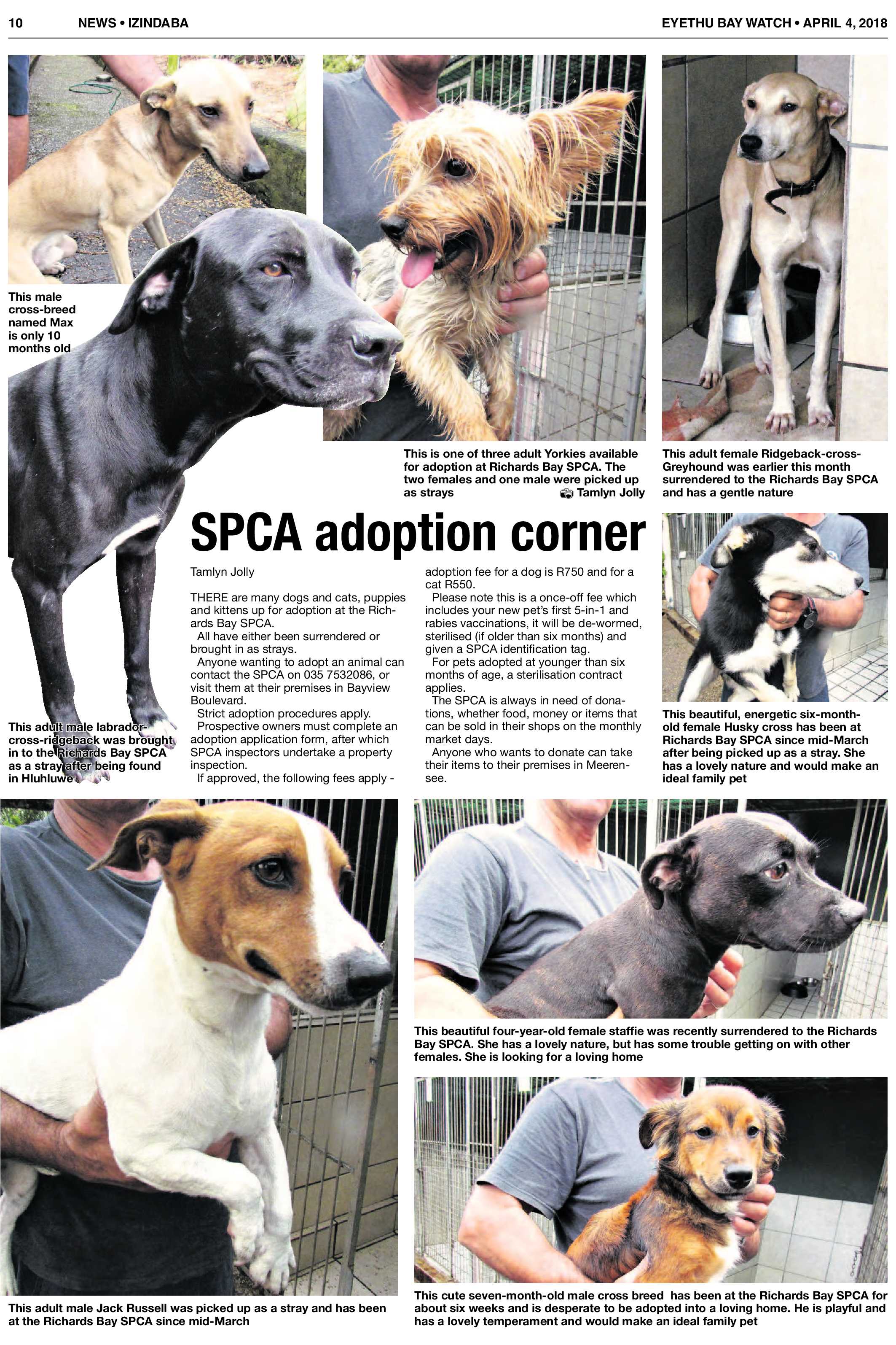 Eyethu Baywatch 04 April page 10