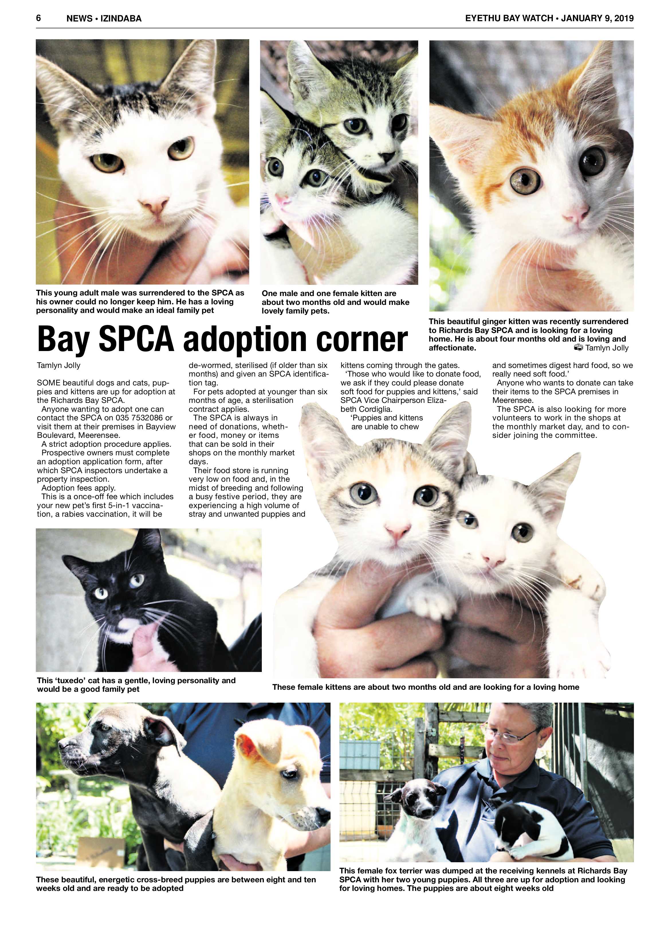 Eyethu Baywatch 09 Jan page 6